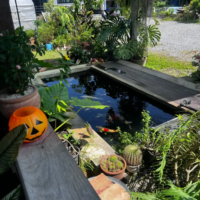 Giggles House · Photo 3