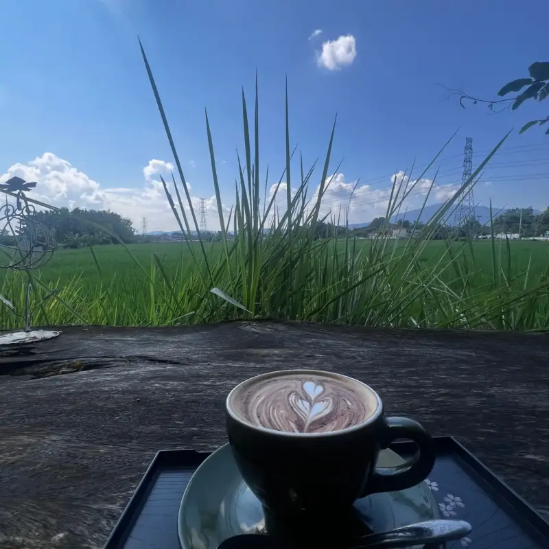 Kaffeetasse auf einem Holzbrett vor einem grünen Feld und blauem Himmel