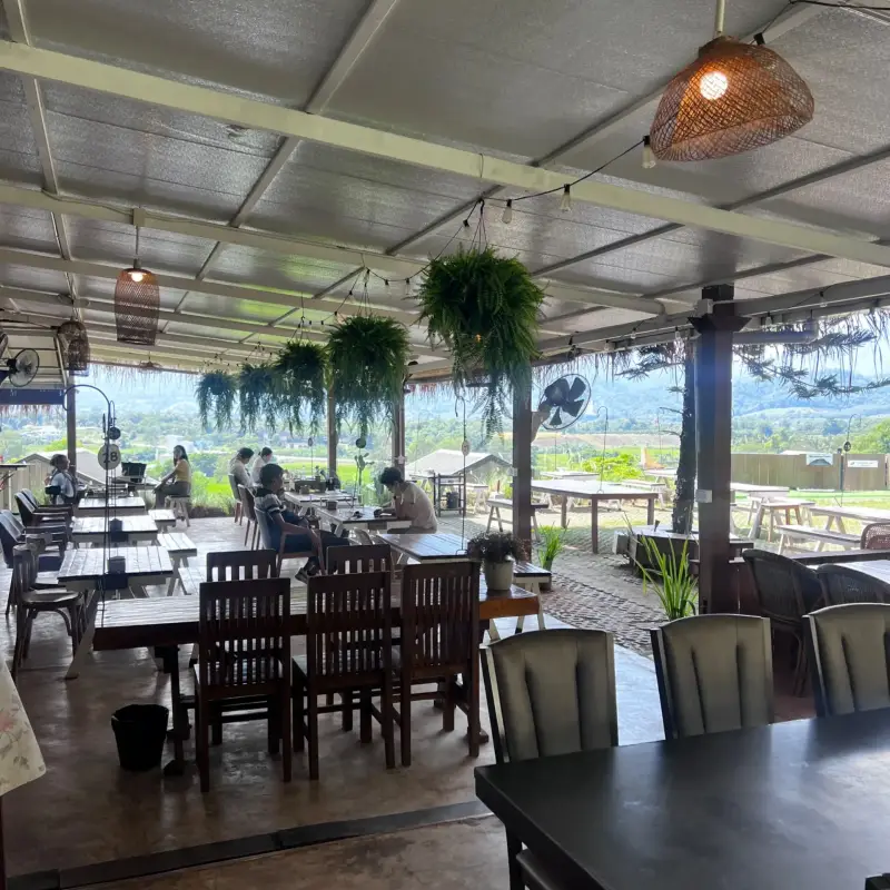 Large covered seating area with pendant lights and plants
