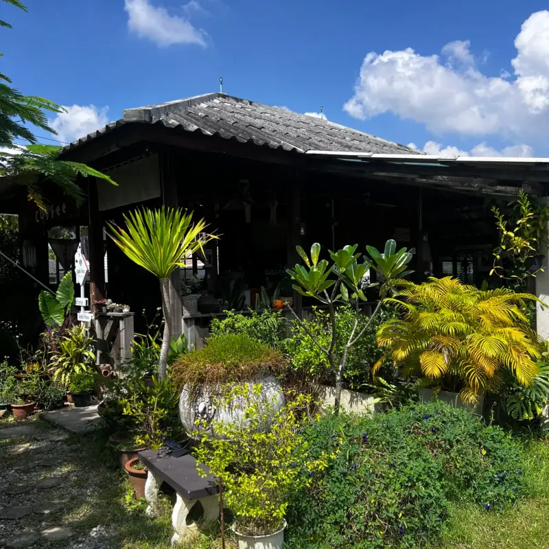 Giggles House · Photo 8