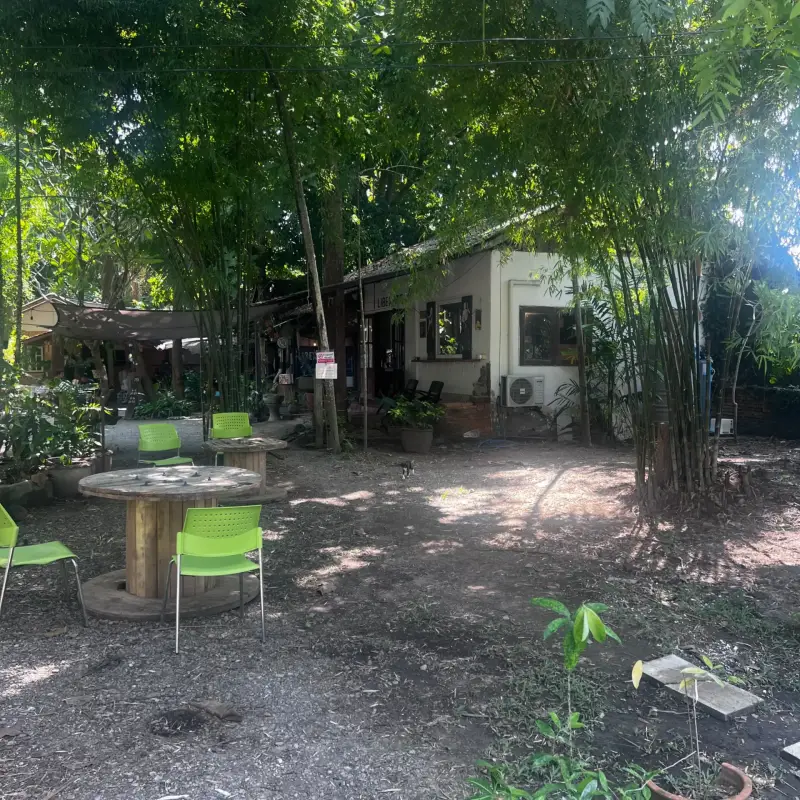 Runder Gartentisch mit grünen Stühlen zwischen Bäumen